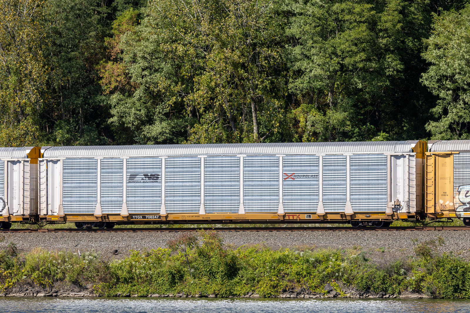 TTGX 708247