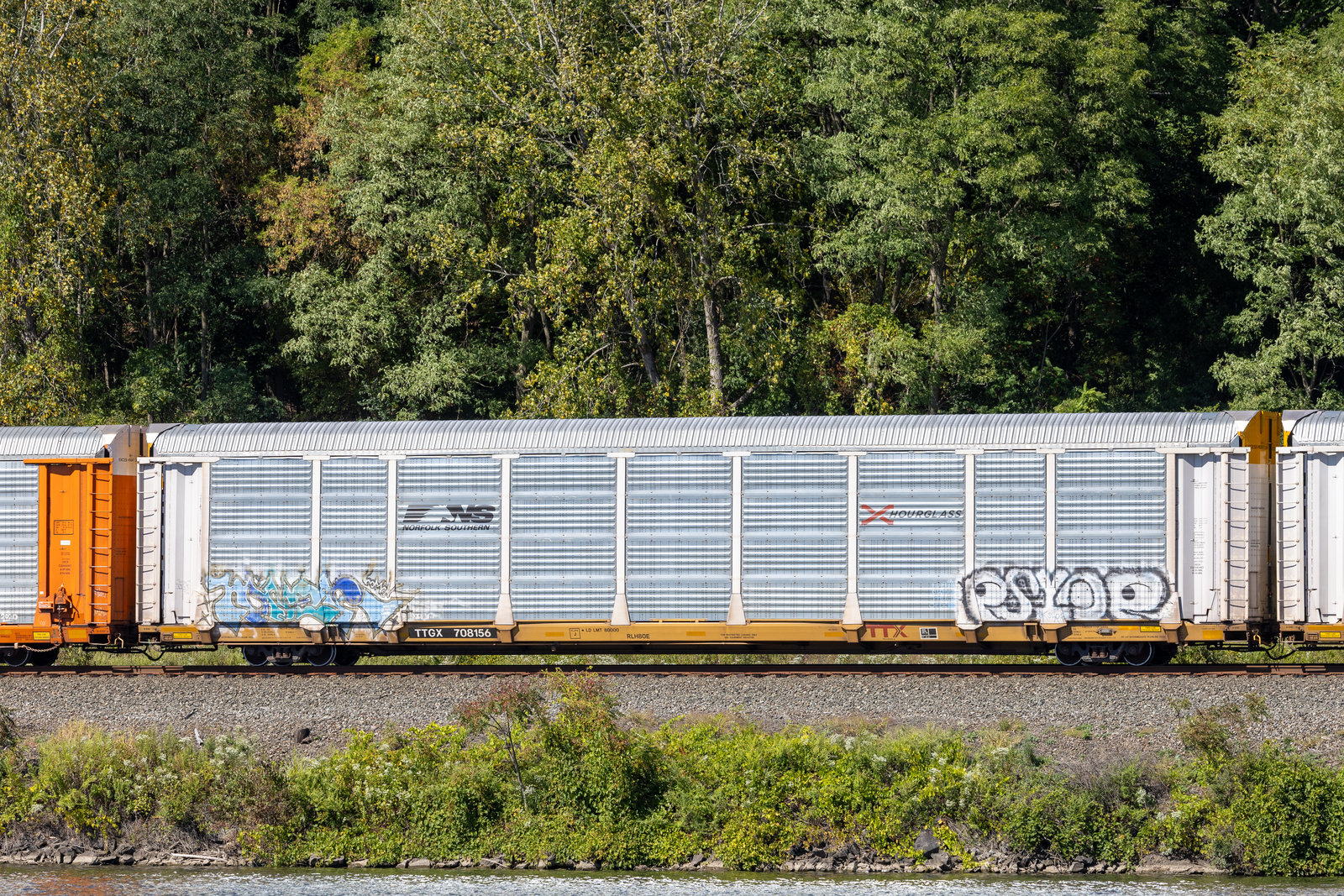 TTGX 708156