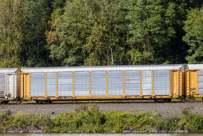 TTGX 836083