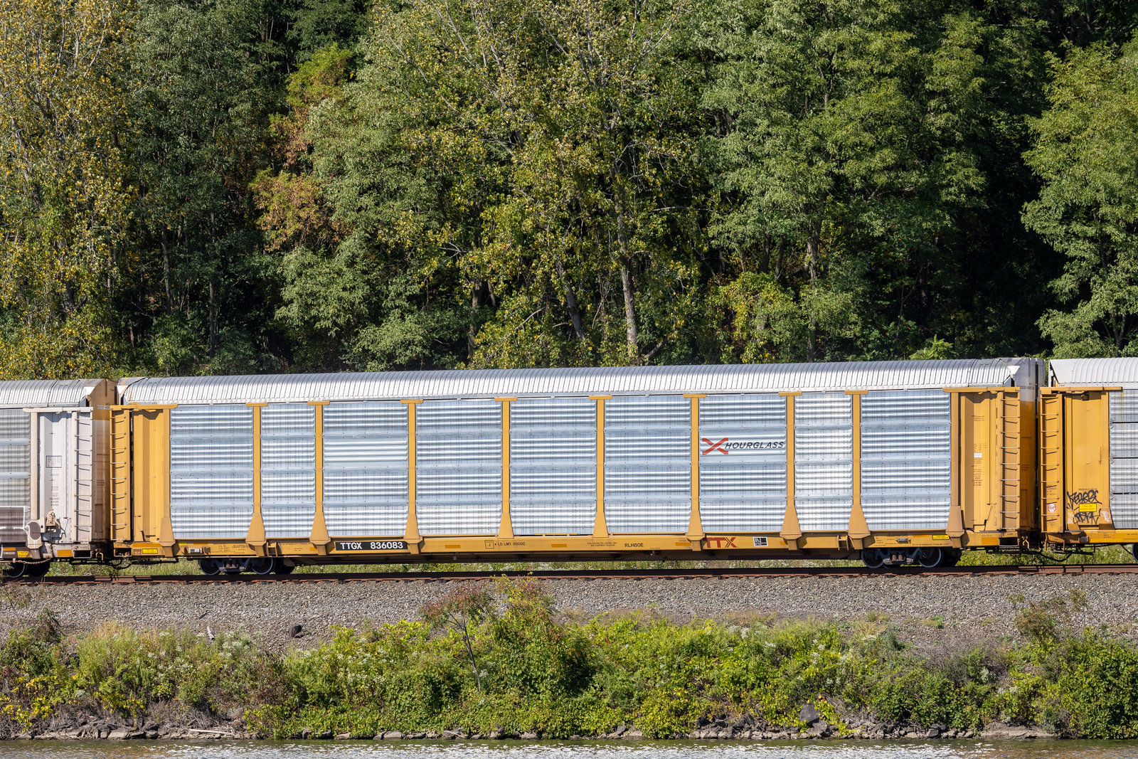 TTGX 836083