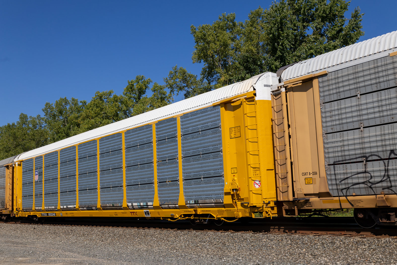TTGX 852248