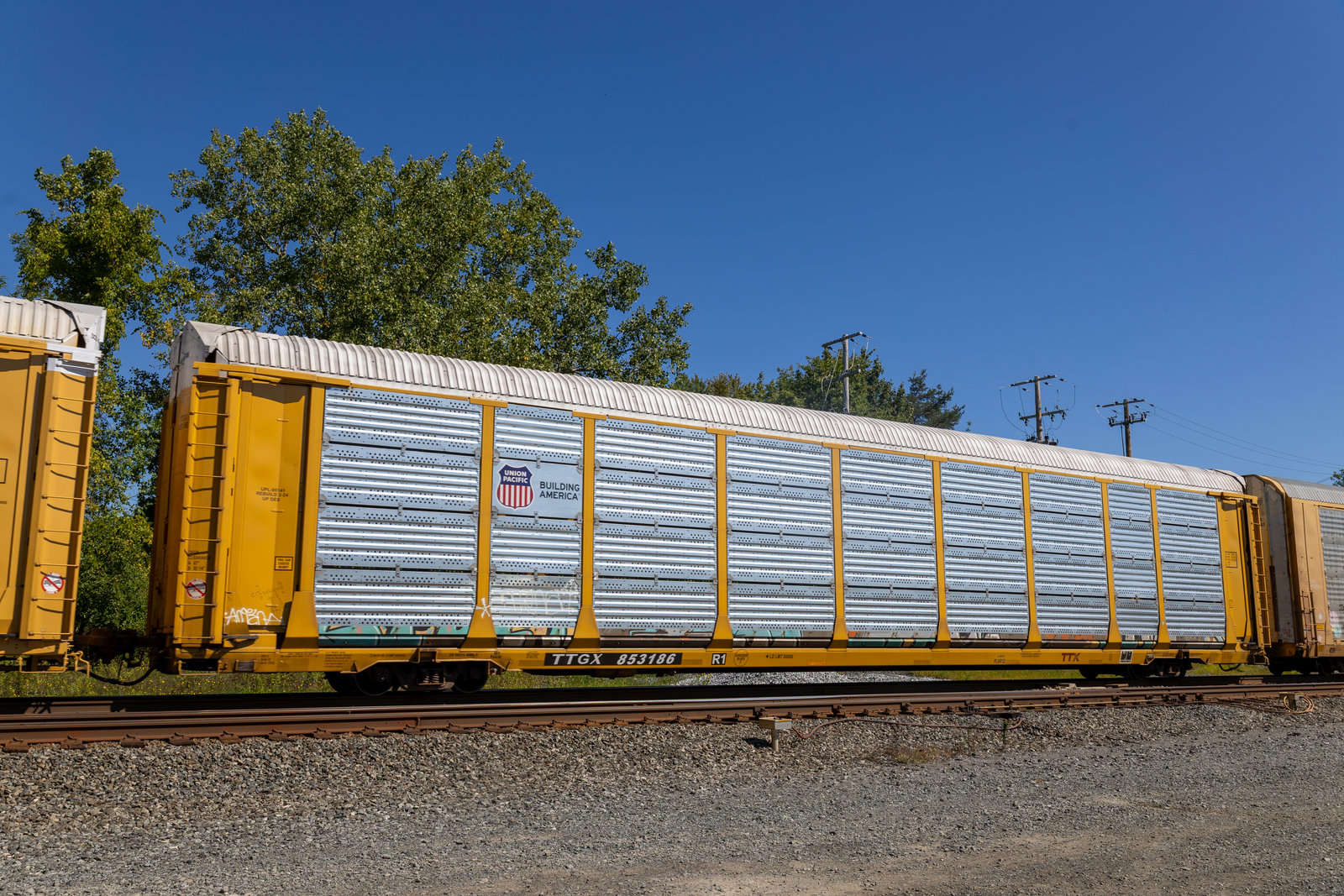TTGX 853186
