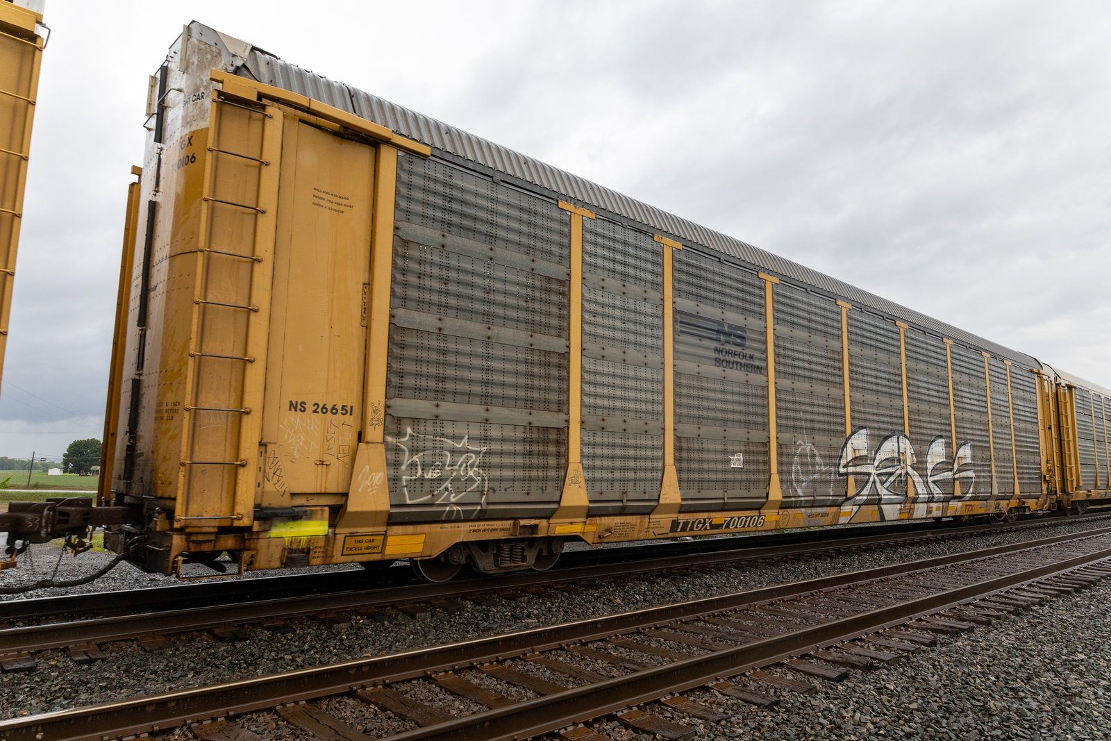 TTGX 700106
