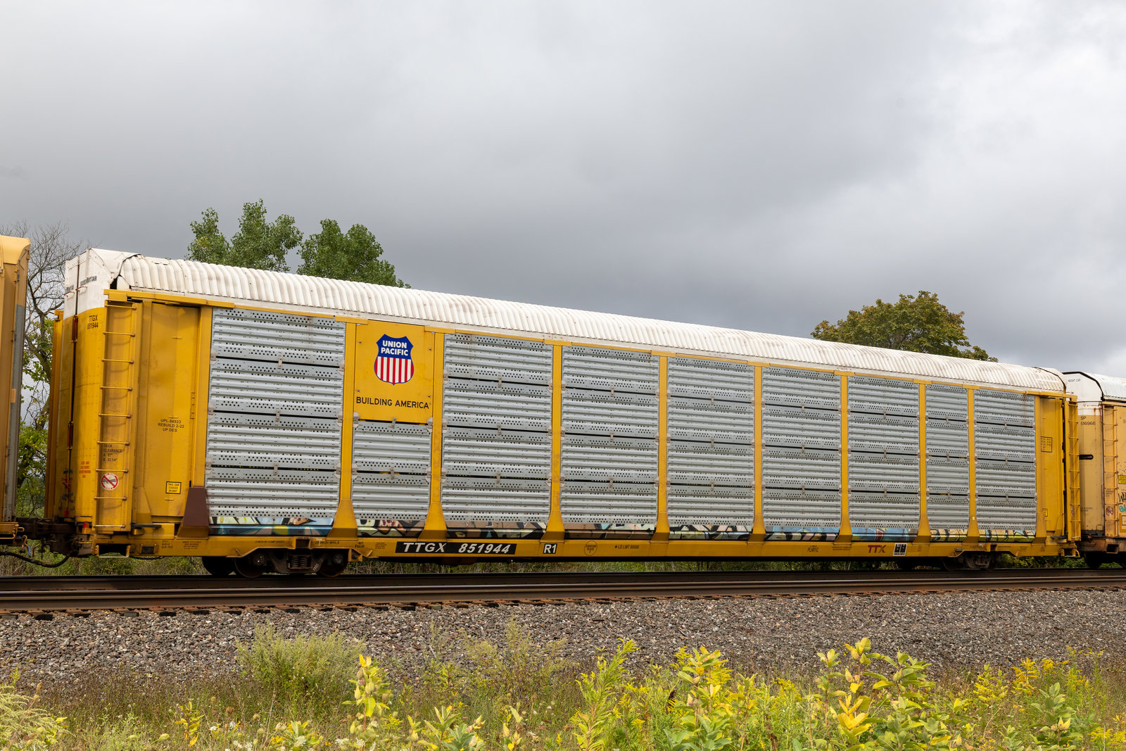 TTGX 851944