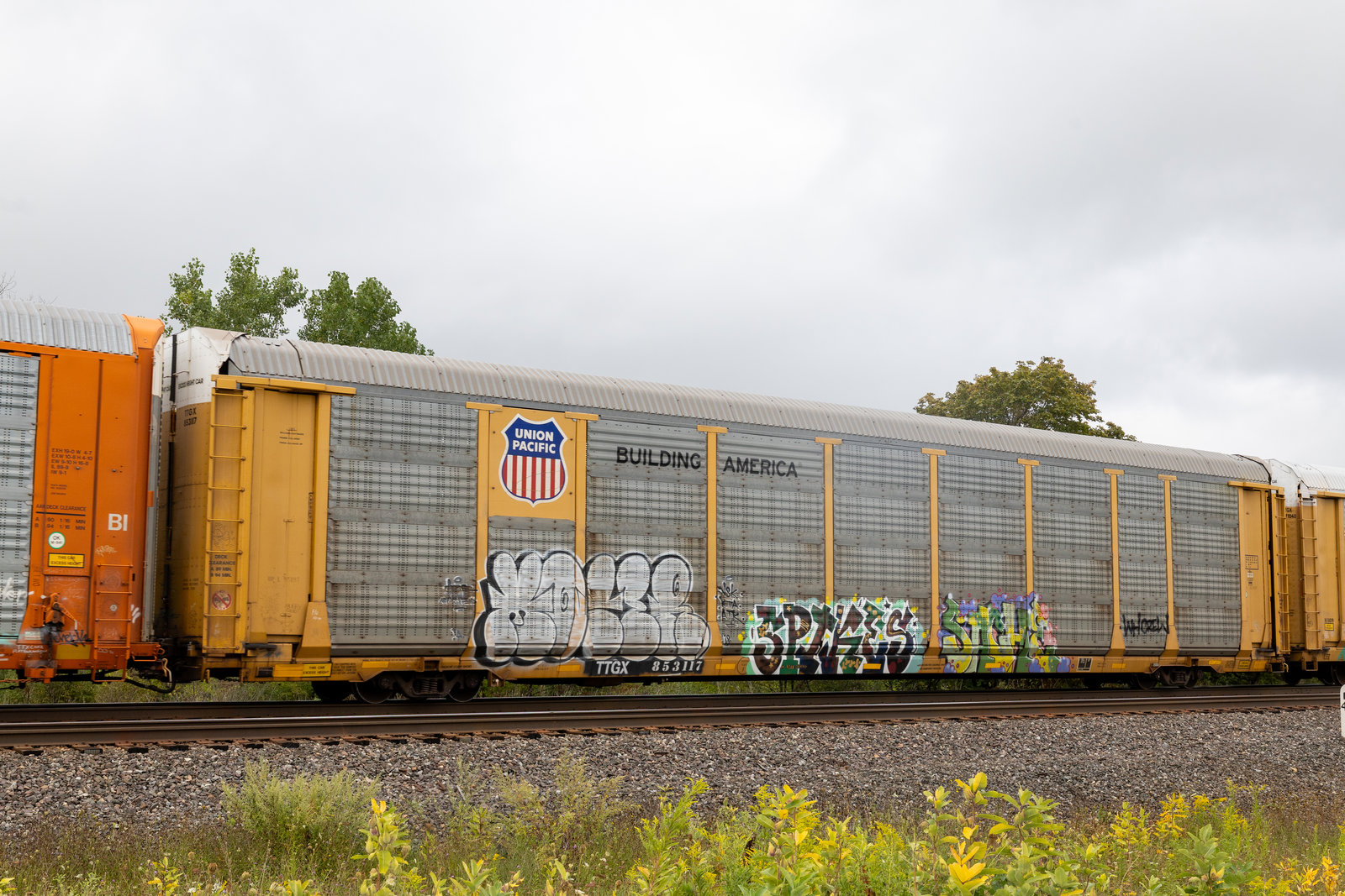 TTGX 853117