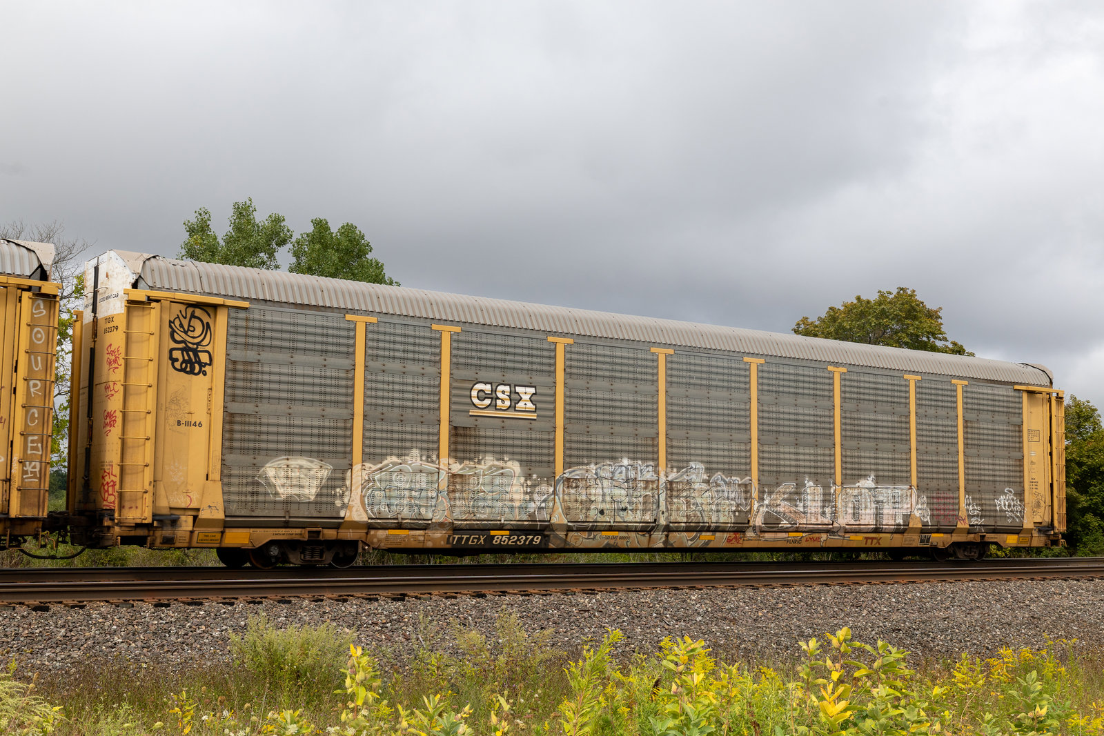 TTGX 852379