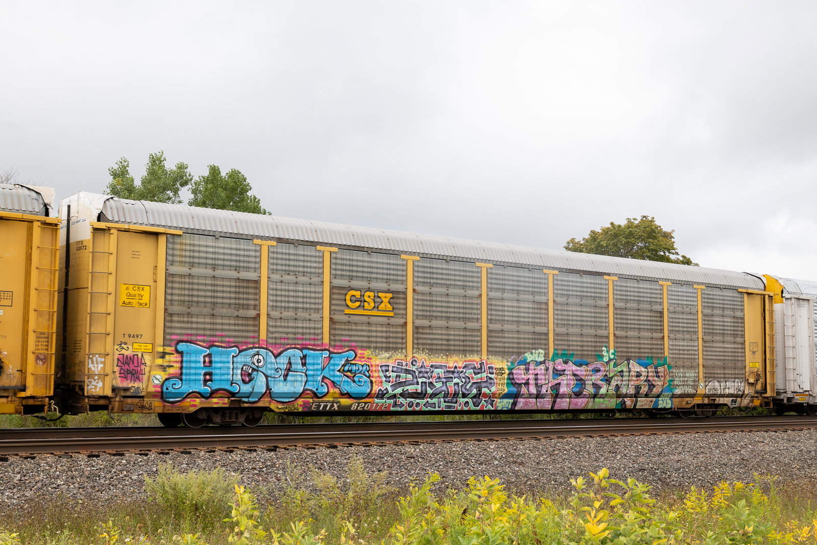 ETTX 820172