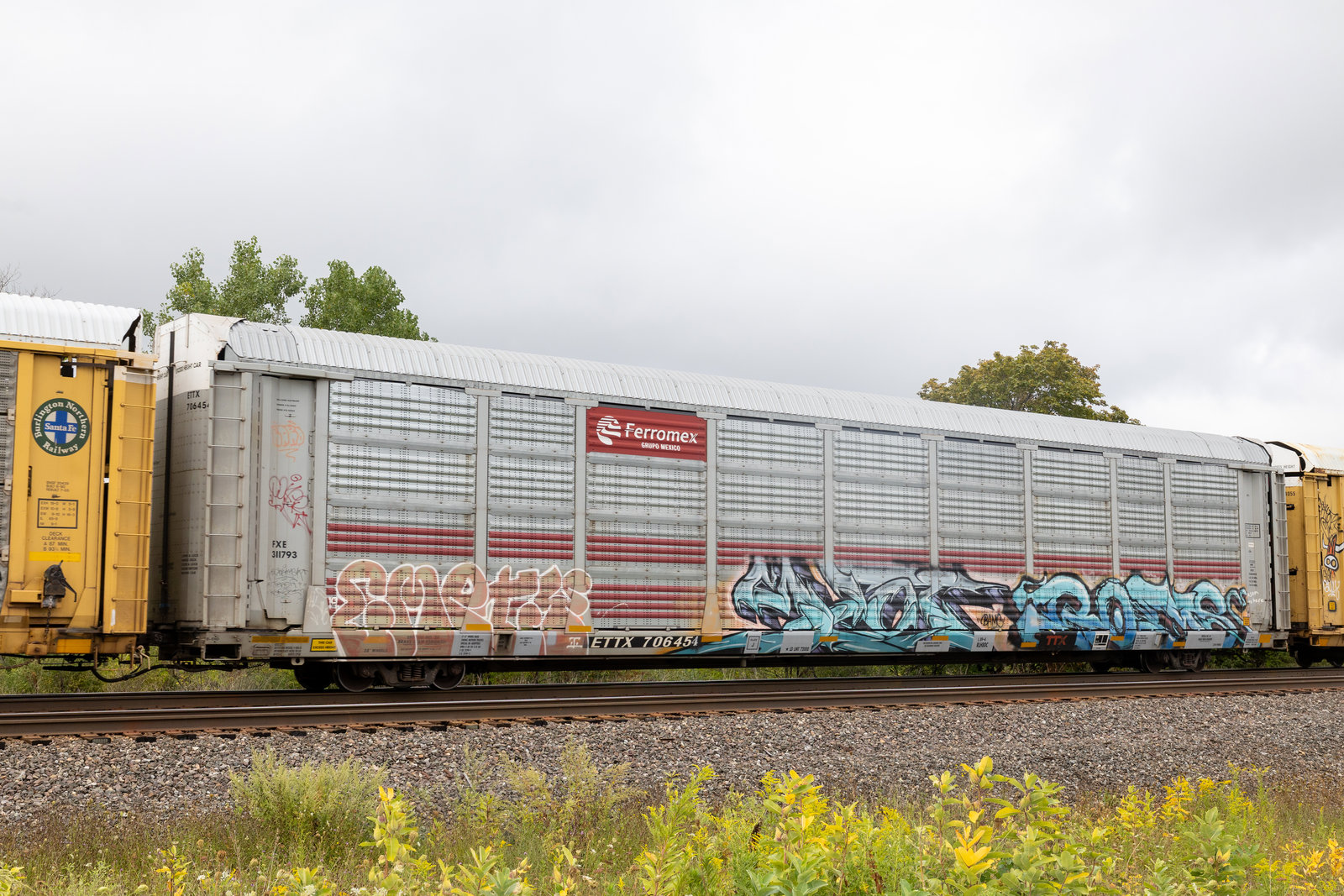 ETTX 706454