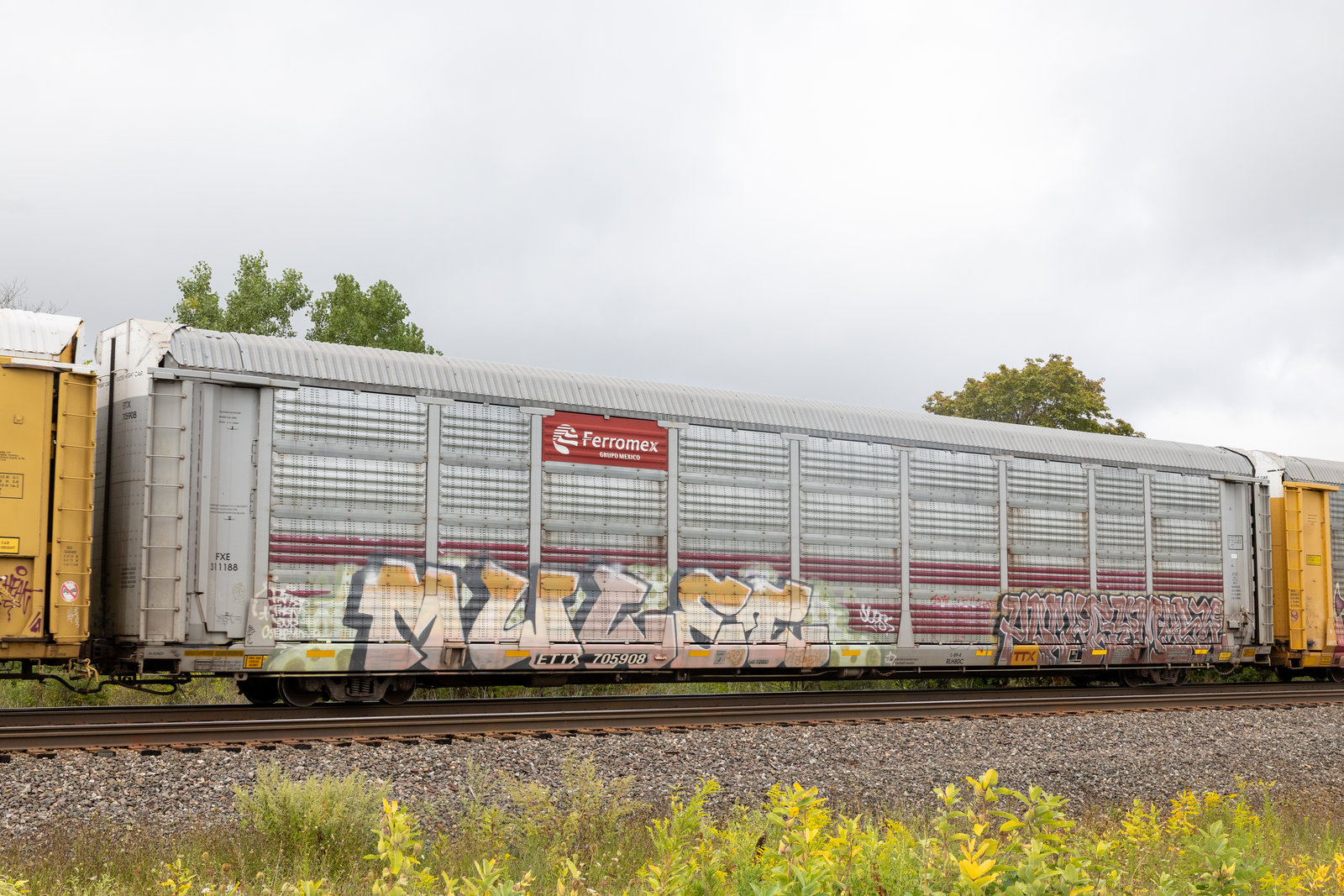 ETTX 705908