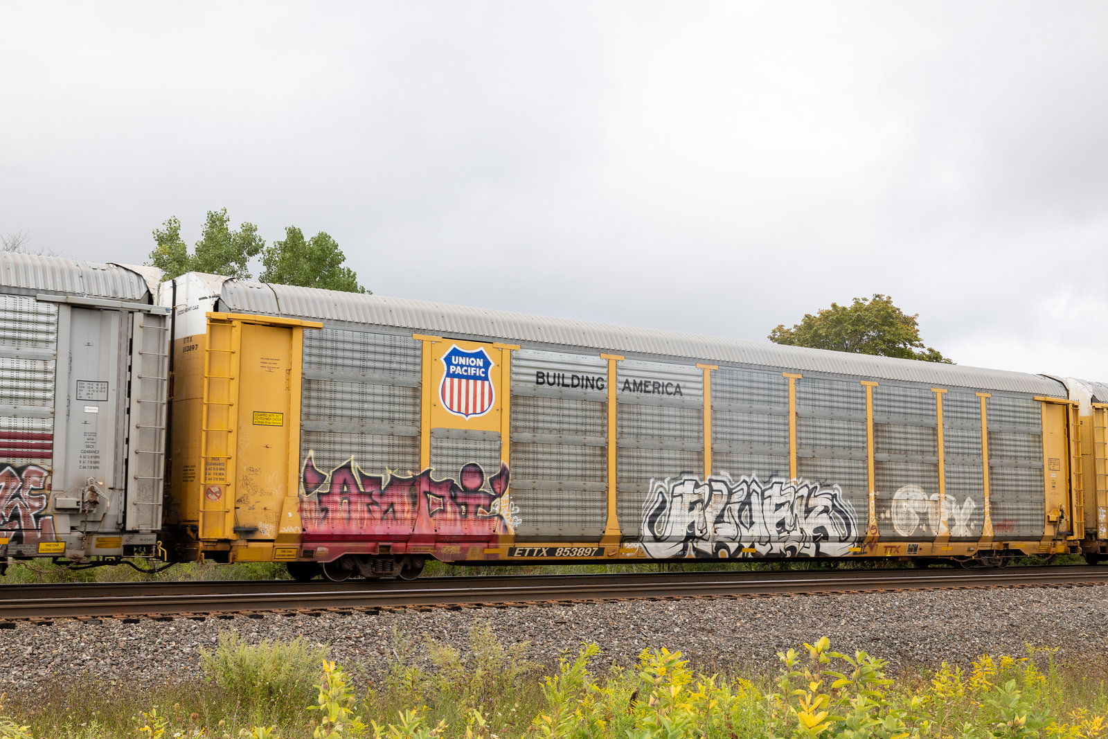 ETTX 853897