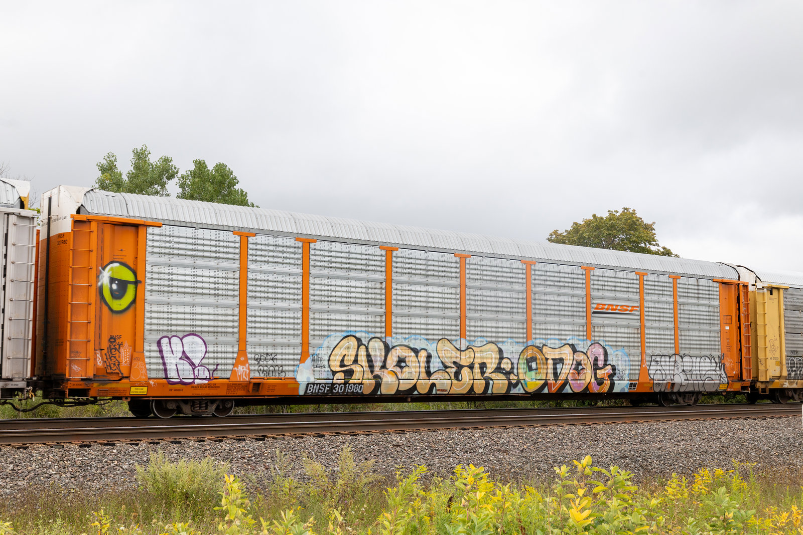 BNSF 301980