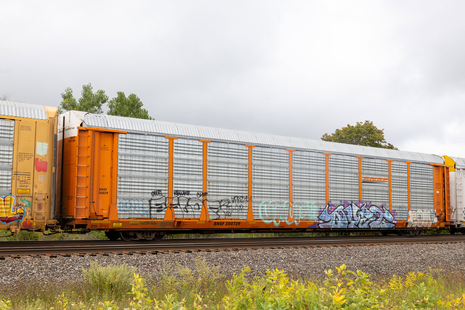 BNSF 300729