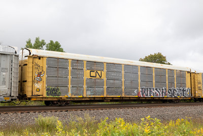 CNA 704055