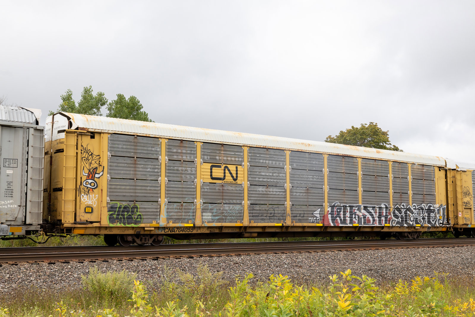 CNA 704055