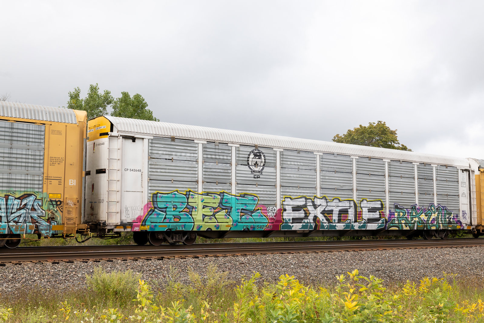 CP 542648