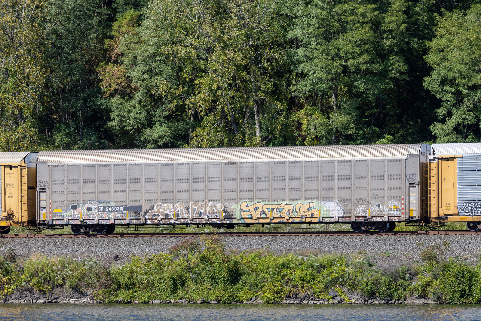 CP 546030
