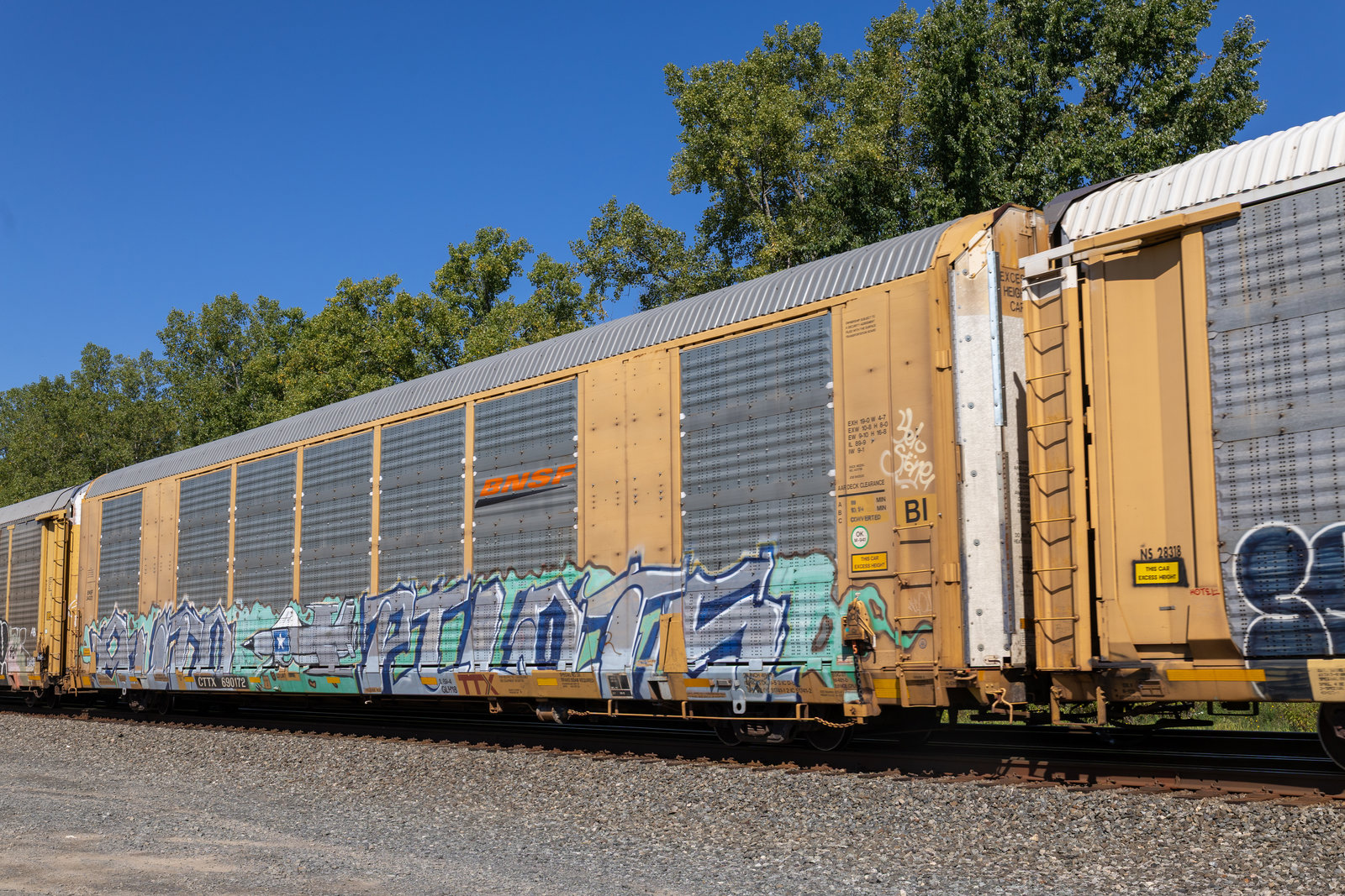 CTTX 690172
