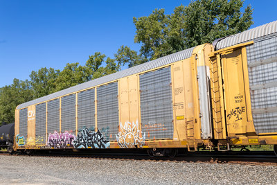 TTGX 694386