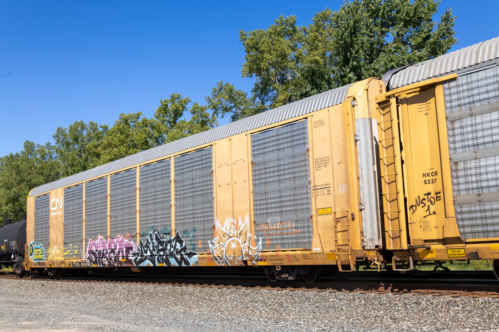 TTGX 694386