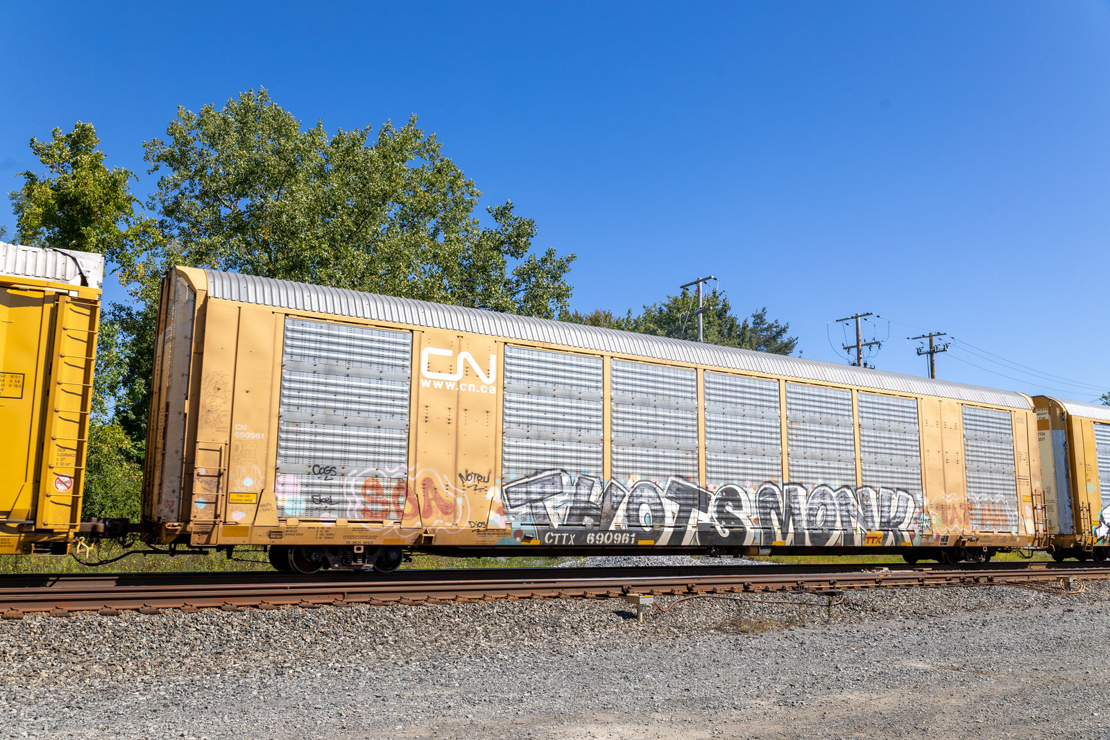CTTX 690961