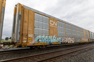 CTTX 694137