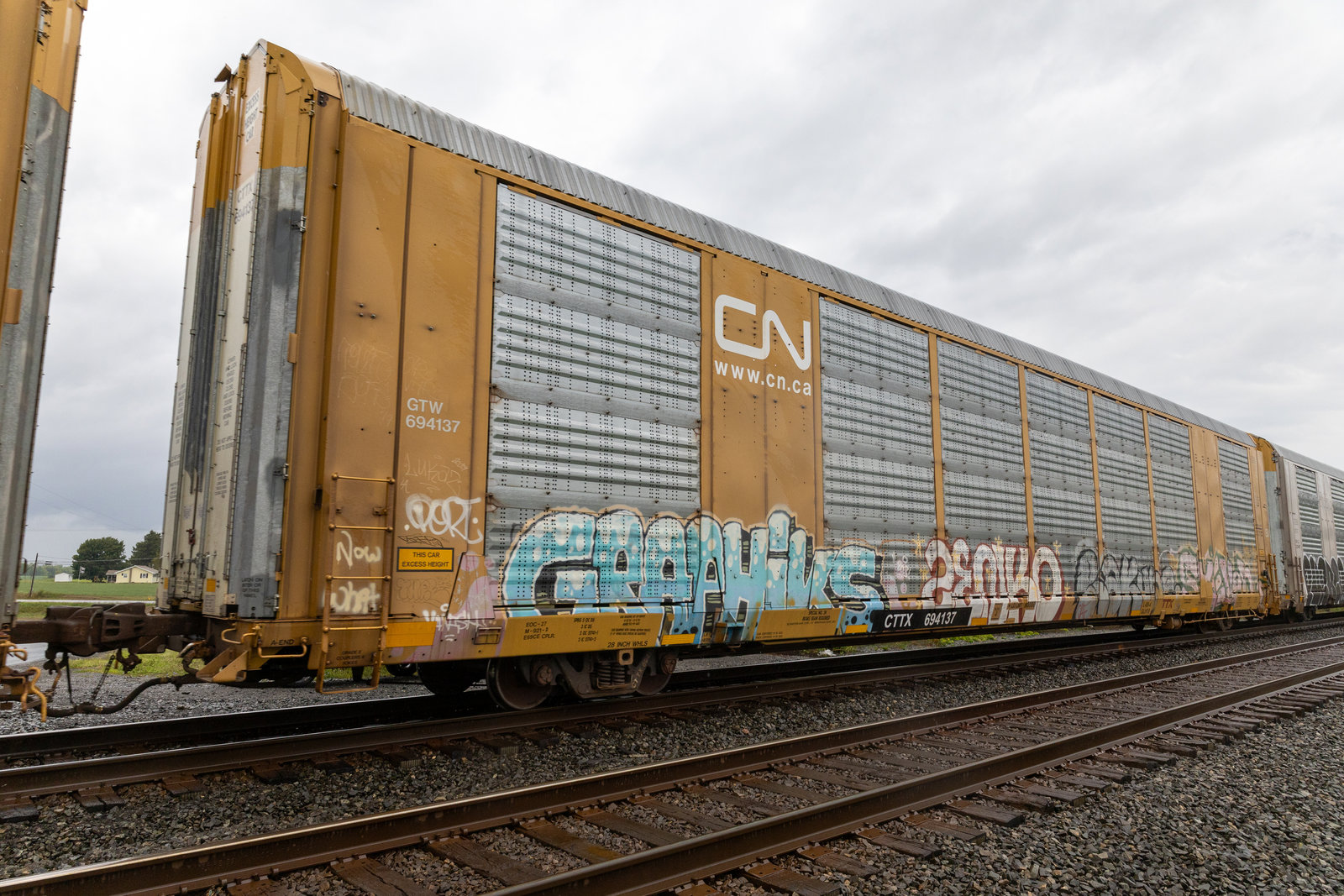 CTTX 694137