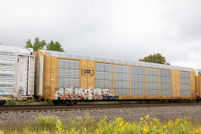 CTTX 692490