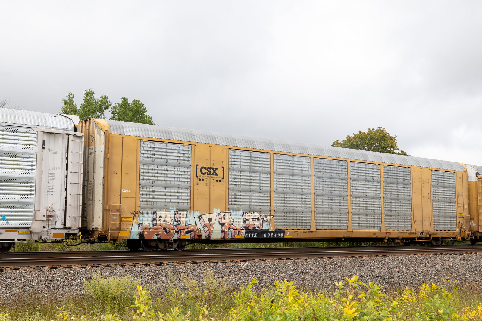 CTTX 692490