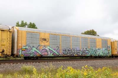 CTTX 690559