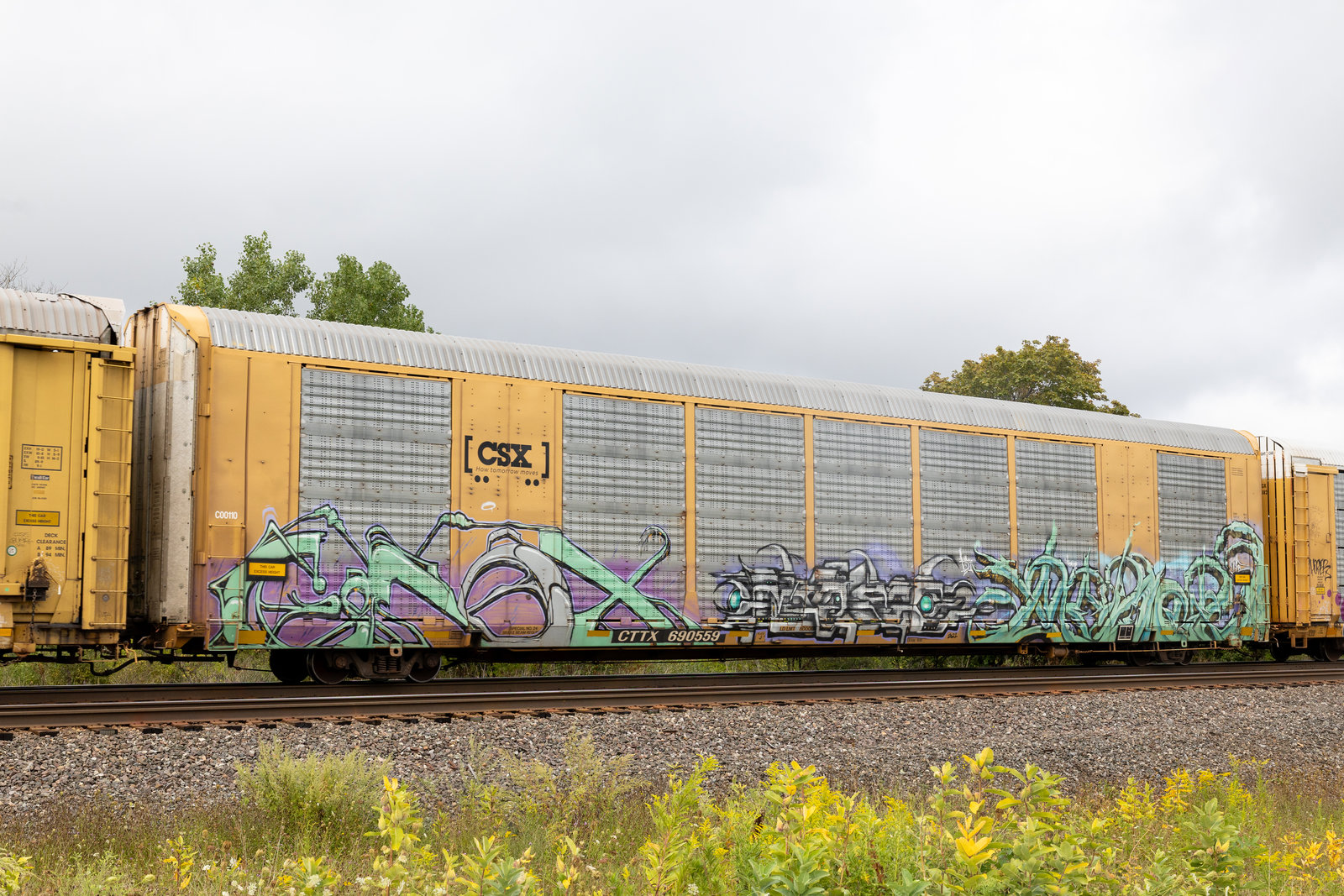 CTTX 690559