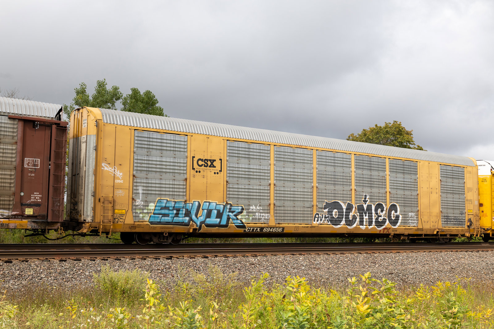 CTTX 694656
