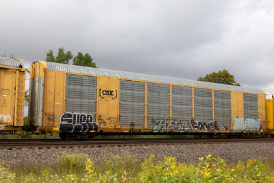 CTTX 694606