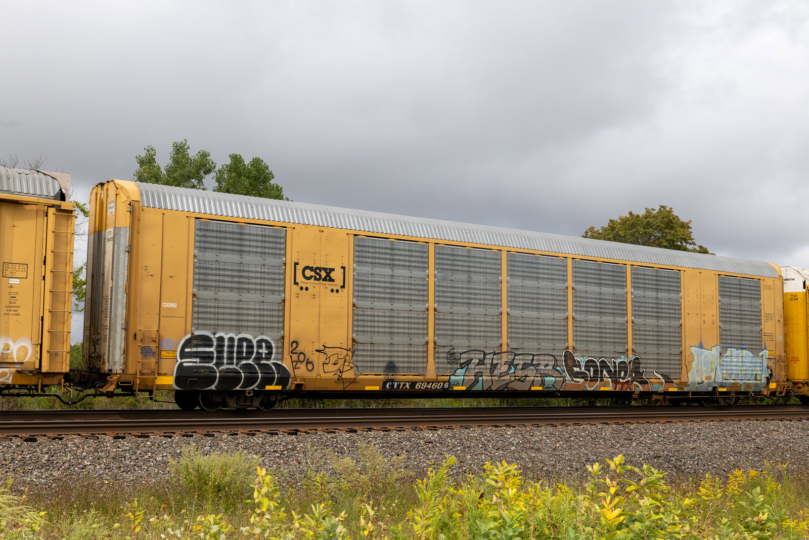CTTX 694606