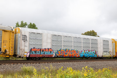 SFLC 307402