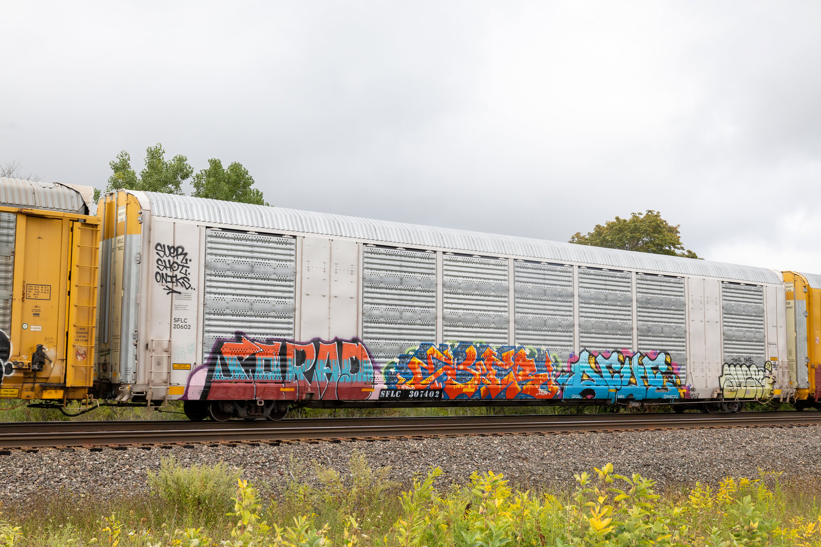 SFLC 307402
