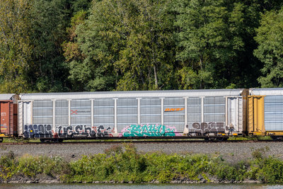SFLC 300099