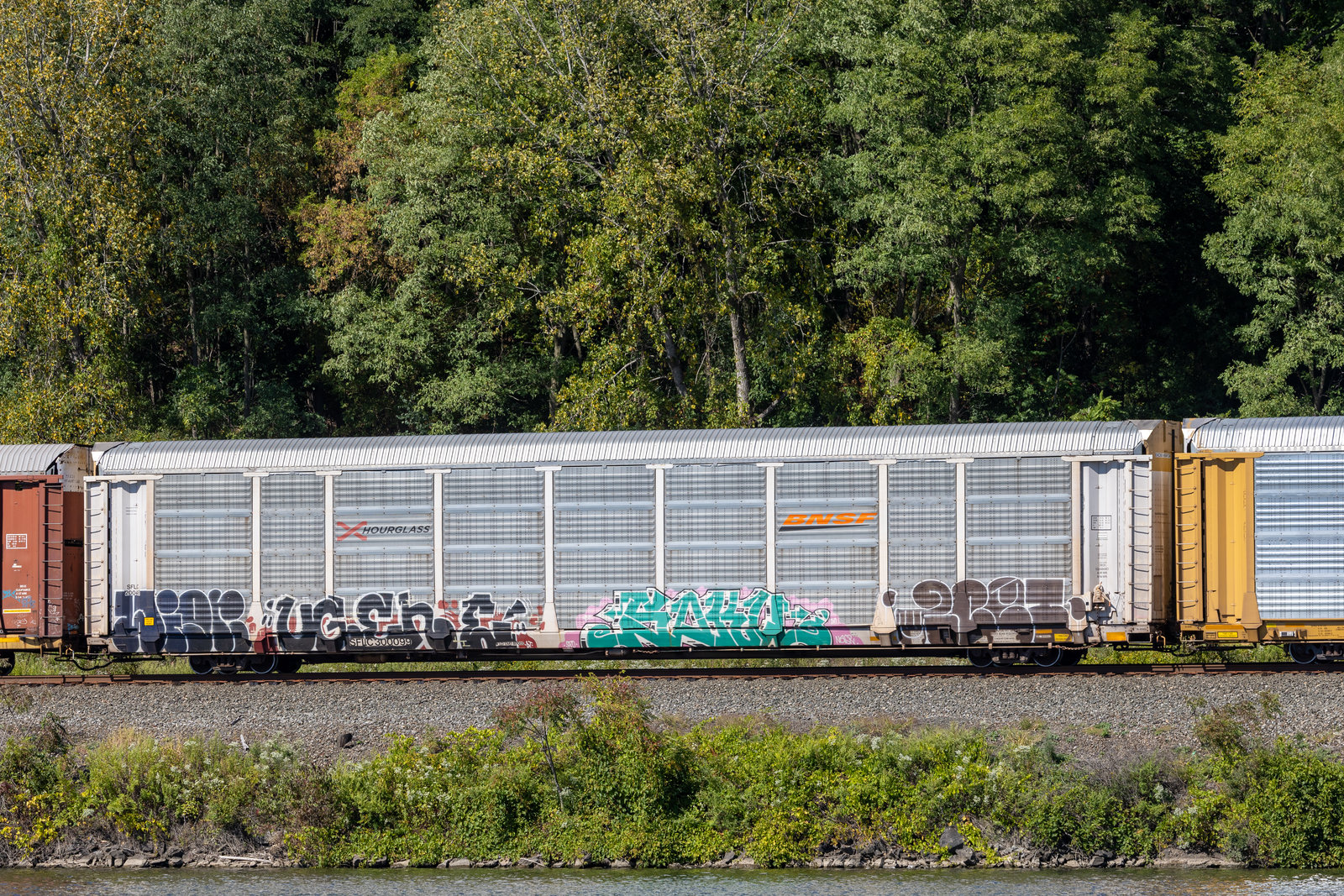 SFLC 300099
