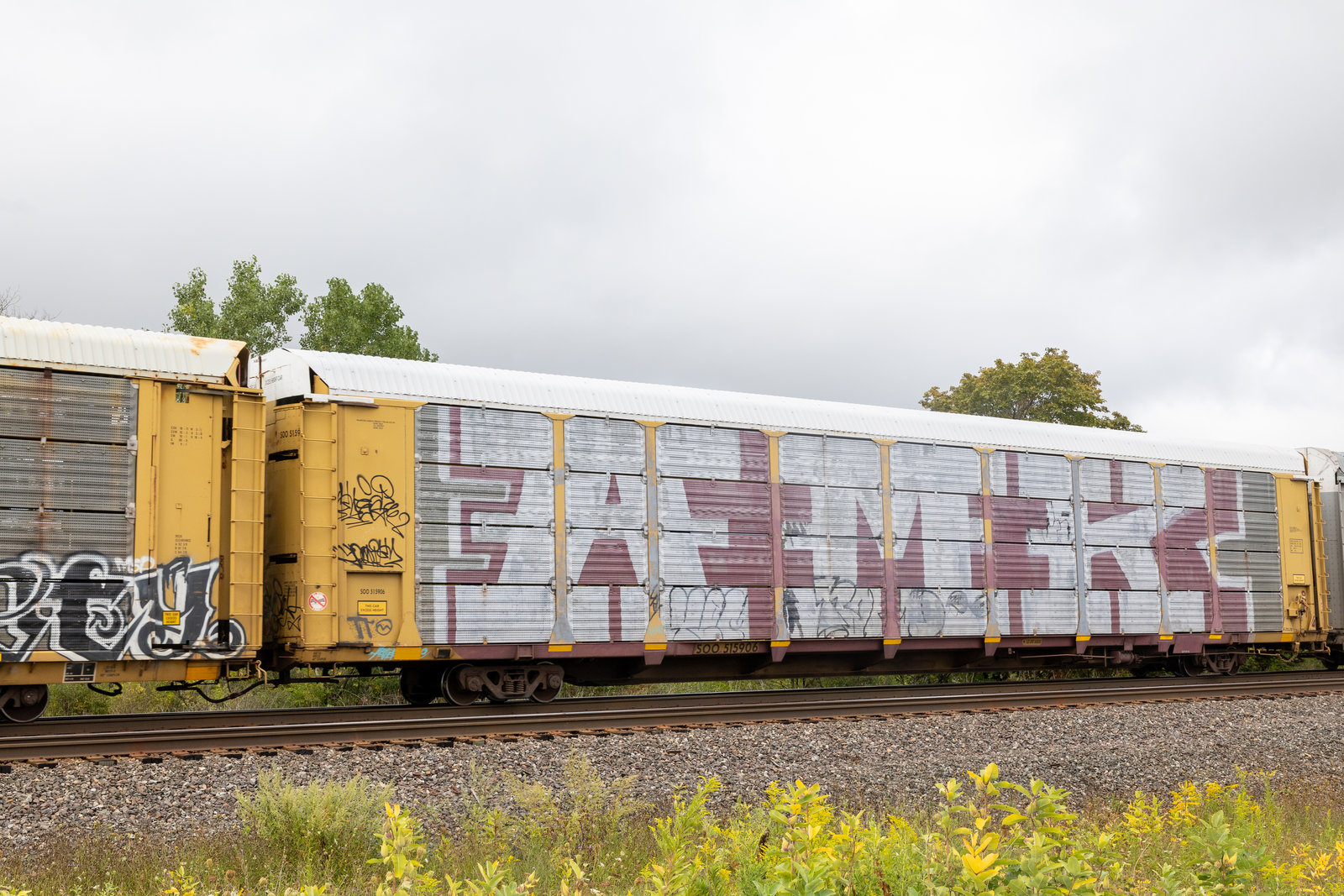 SOO 515906