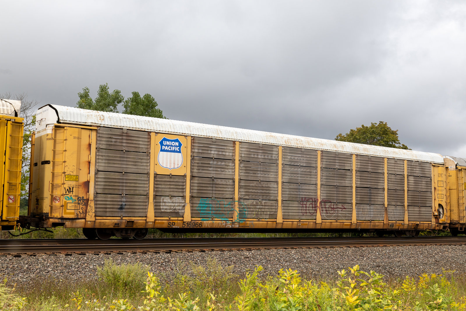 SP 516966