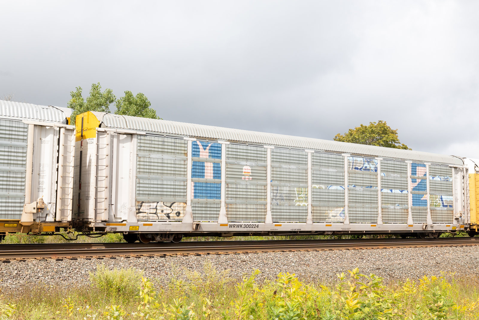 WRWK 300224