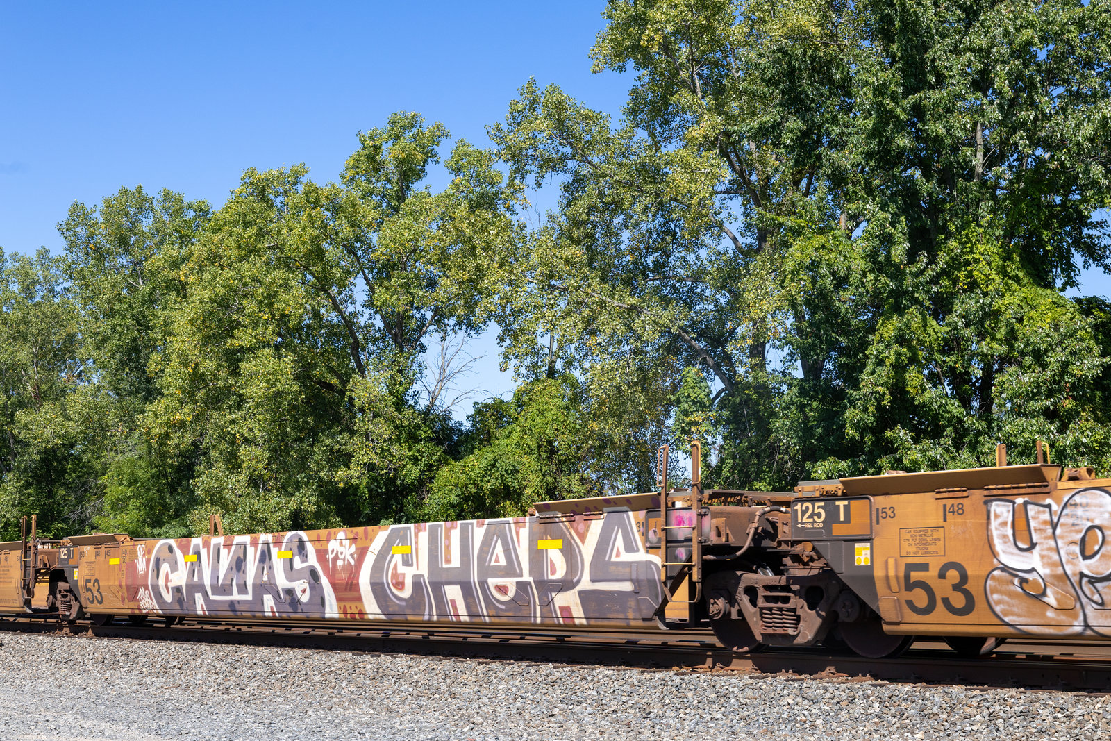 DTTX 766401C