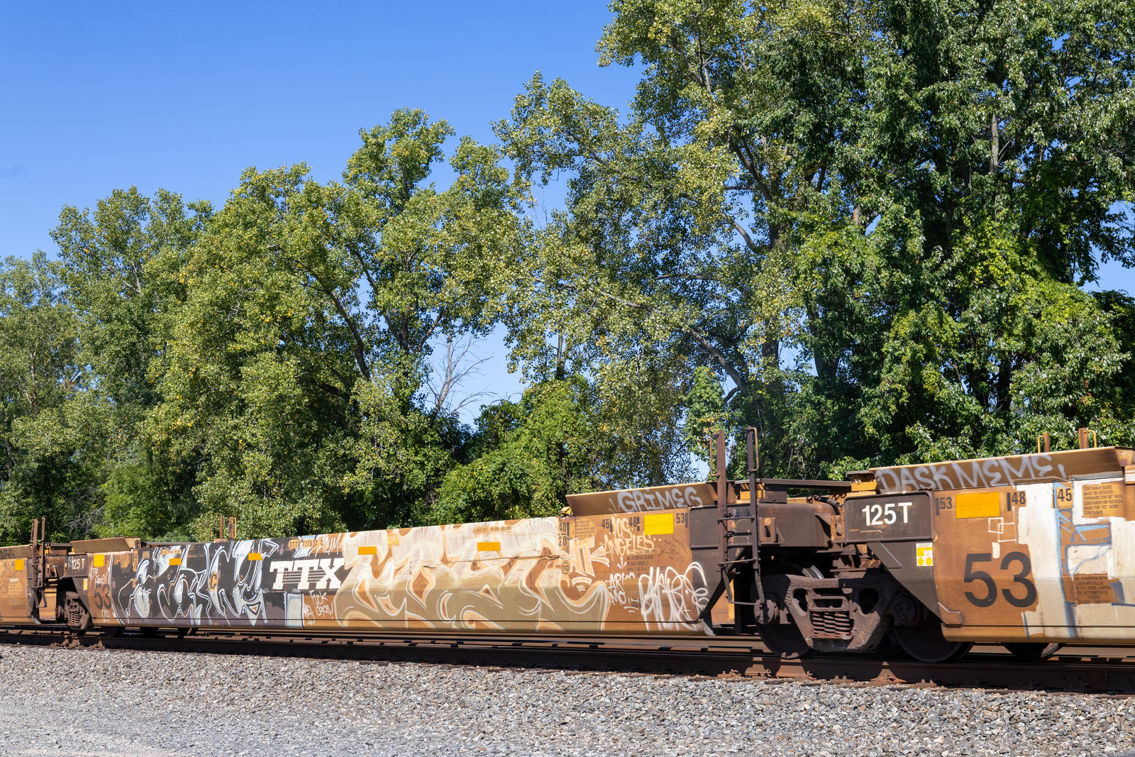 DTTX 727637C