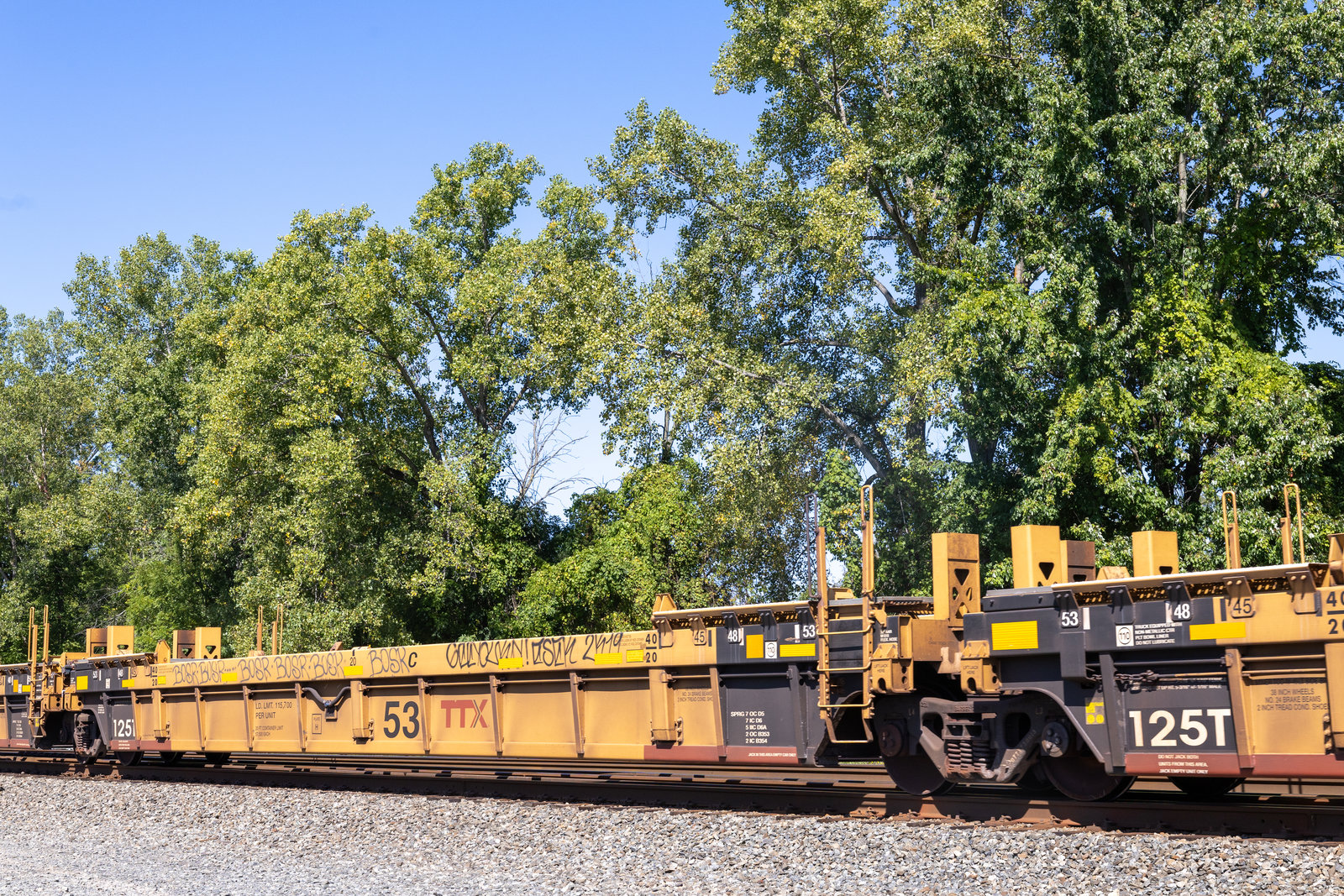 DTTX 730013C