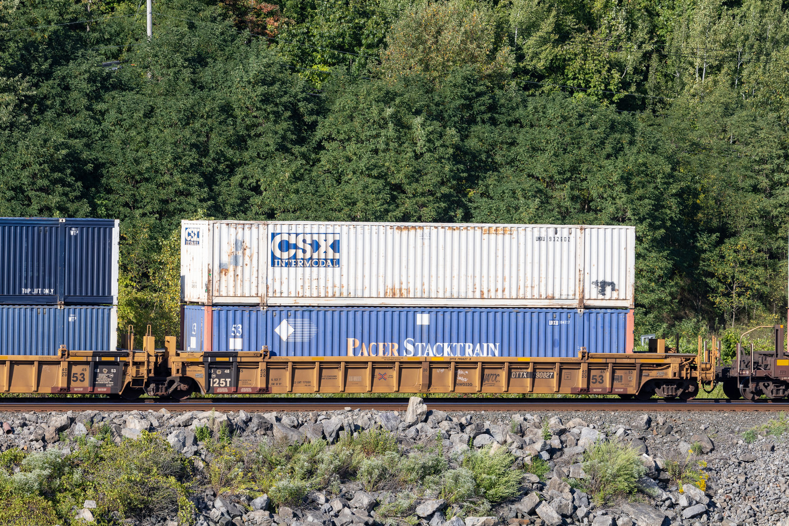 DTTX 790827B