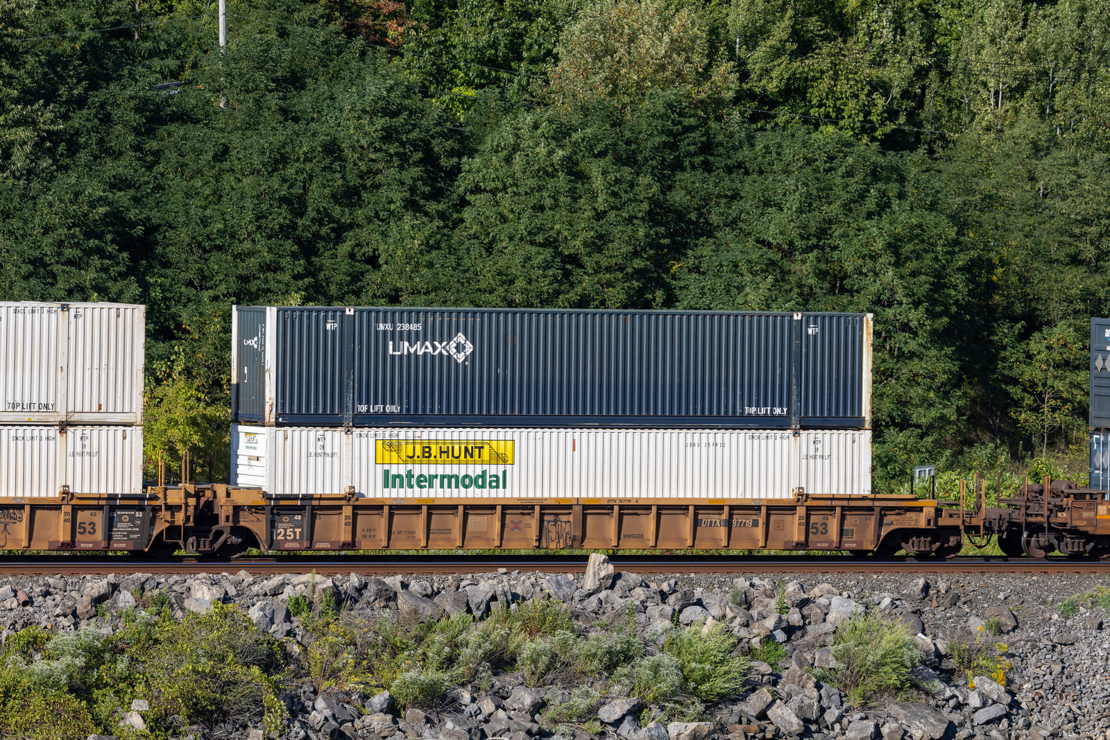 DTTX 787719A