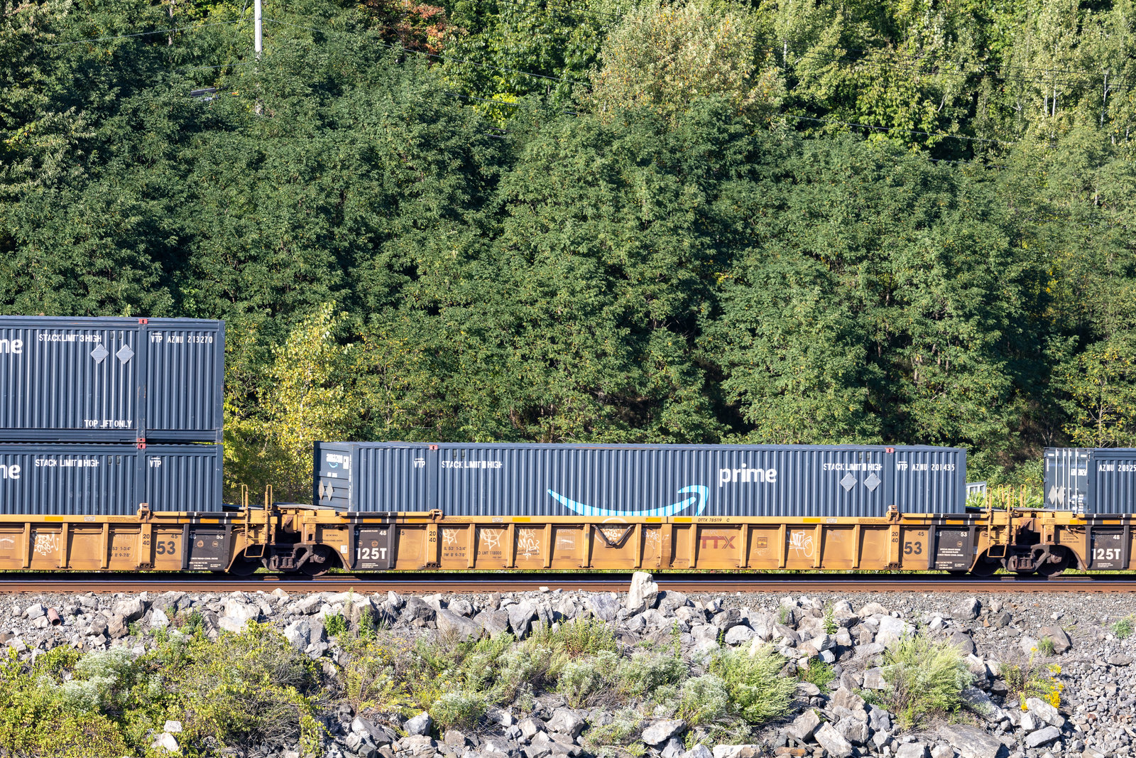 DTTX 785119C