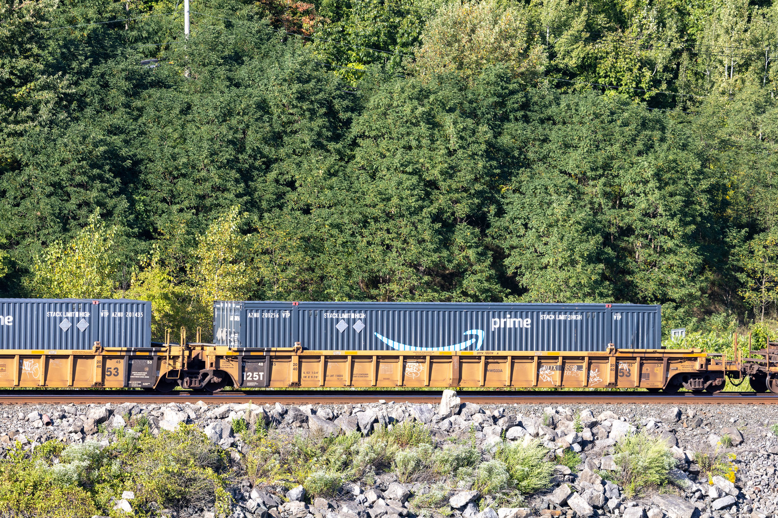 DTTX 785119A