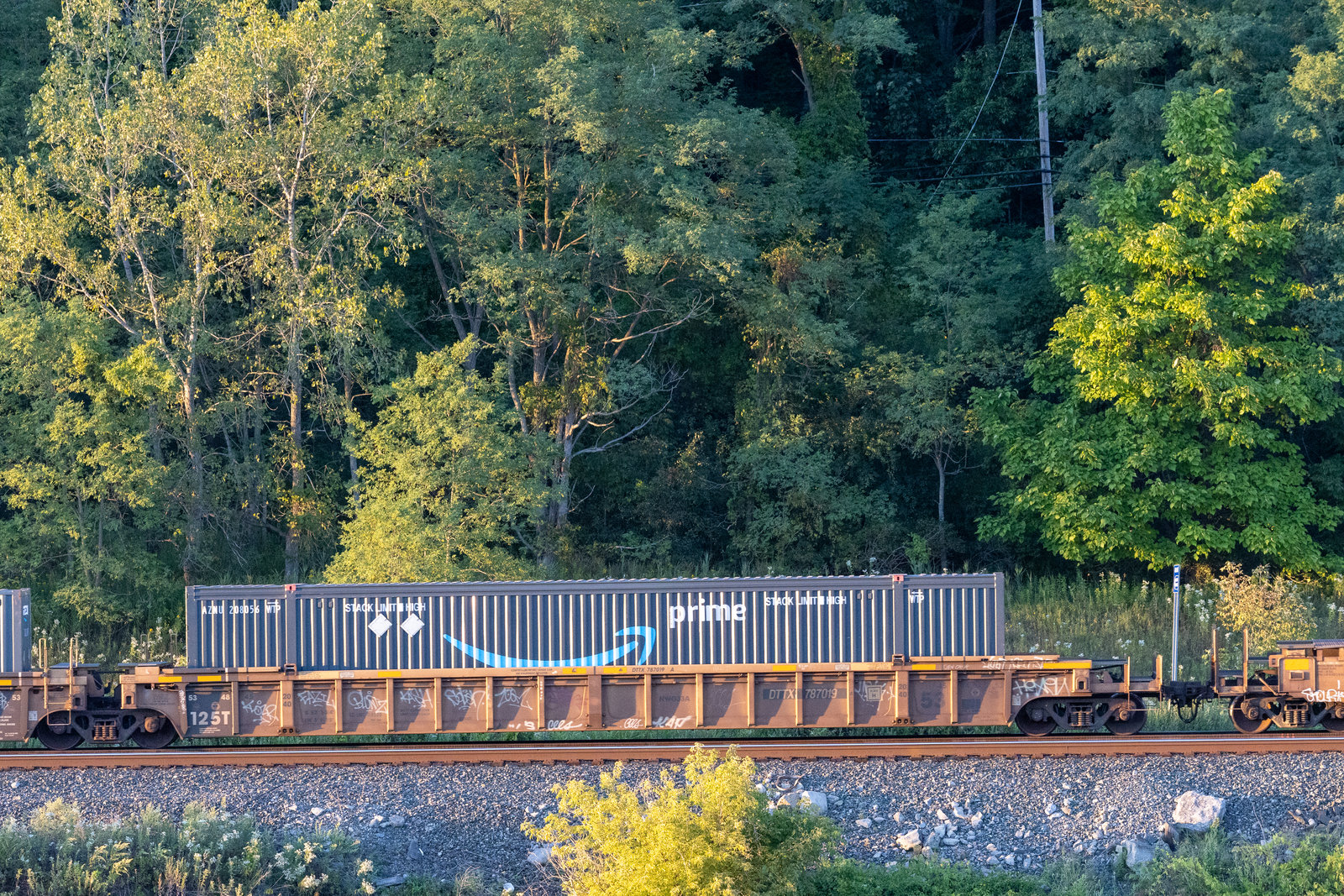 DTTX 787019A