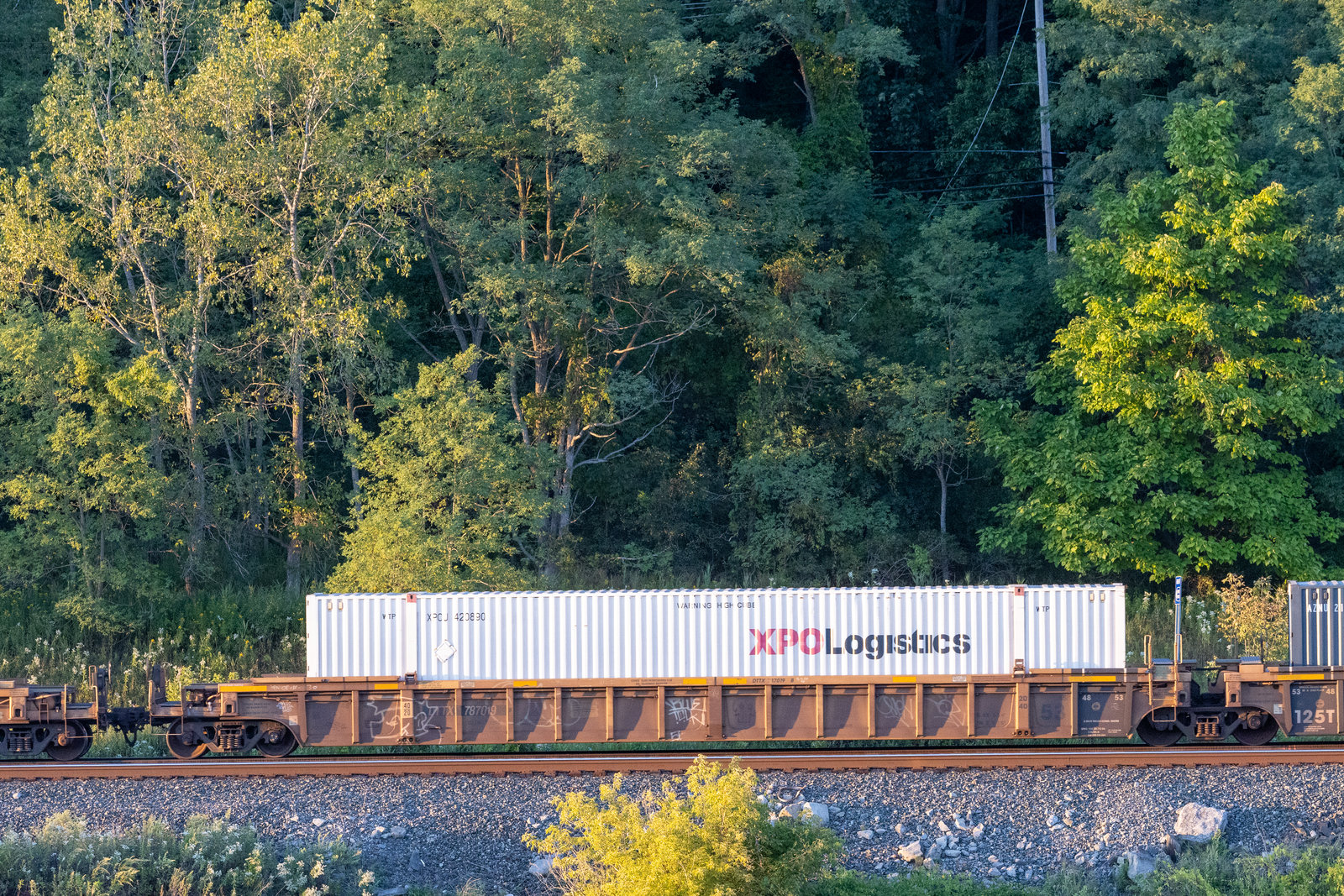 DTTX 787019B