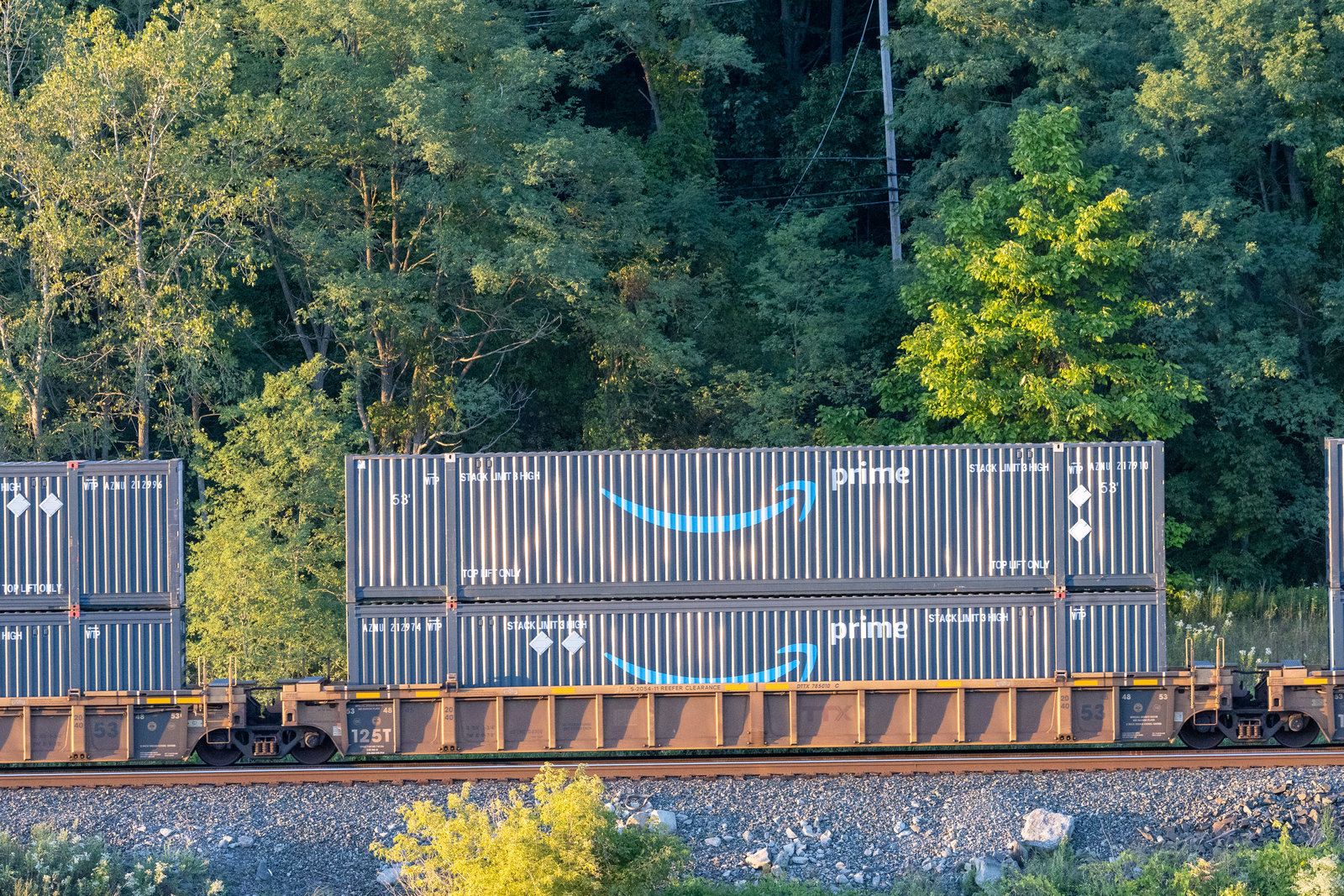 DTTX 785010C